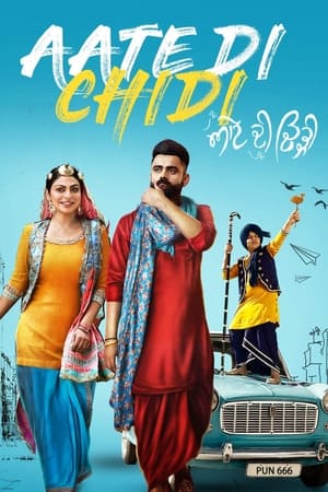 Aate di chidi (2018) Punjabi Movie | Dubbed Hindi Movie HDRip x264 [1GB]