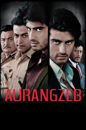 Aurangzeb (2013) Movie | Dubbed Hindi Movie HDRip x264 [1.2GB]