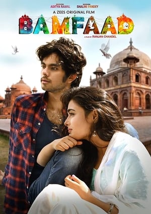 Bamfaad 2020 Movie | Dubbed Hindi Movie HDRip - [300MB]
