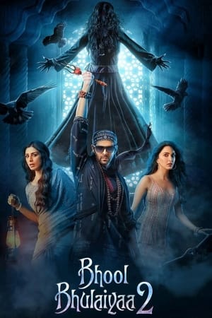 Bhool Bhulaiyaa 2 2022 Movie Web-DL | Dubbed Hindi Movie – 480p