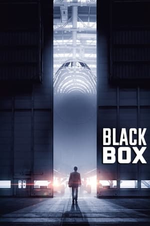 Boxed 2021 Movie | Dubbed Hindi Movie HDRip – [330MB]