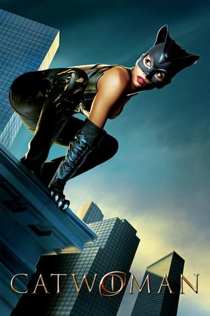 Catwoman (2004) Dual Audio | Dubbed Hindi Movie BDRip 400MB
