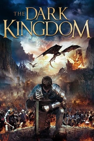 Dragon Kingdom (2018) Dual Audio | Dubbed Hindi Movie BluRay [850MB]