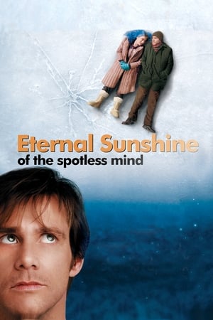 Eternal Sunshine Of The Spotless Mind 2004 Dual Audio | Dubbed Hindi Movie BluRay [1.8GB]