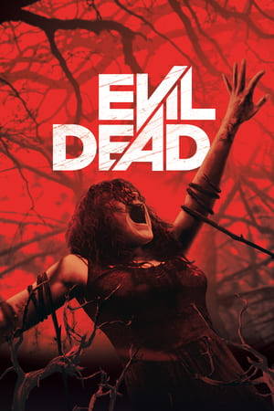 Evil Dead 2013 Dual Audio | Dubbed Hindi Movie BluRay 300MB
