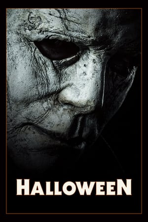 Halloween (2018) Dual Audio | Dubbed Hindi Movie BluRay [960MB]