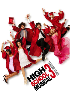 High School Musical 3 (2008) Dual Audio | Dubbed Hindi Movie BluRay 350MB
