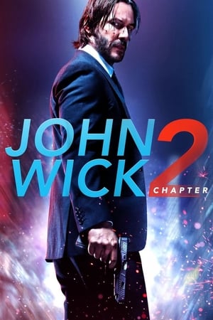 john Wick Chapter 2 2017 Movie WEB-DL | Dubbed Hindi Movie [330MB] Download