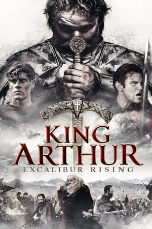 King Arthur: Excalibur Rising 2017 Dual Audio HDRip | Dubbed Hindi Movie – 480p
