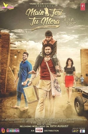 Main Teri Tu Mera 2016 Punjabi | Dubbed Hindi Movie HDRip ESubs [400 MB]