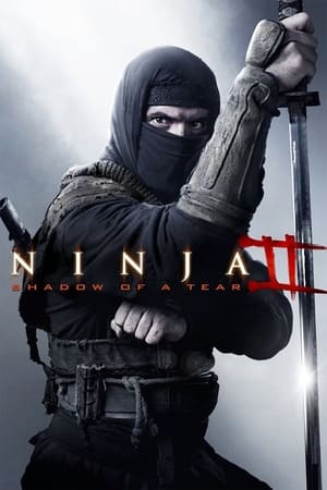 Ninja Shadow of a Tear 2013 Dual Audio | Dubbed Hindi Movie BluRay 300MB