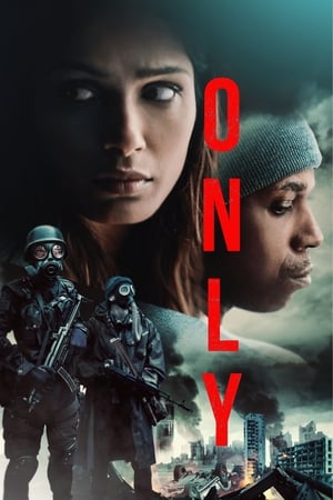 Only 2019 Dual Audio | Dubbed Hindi Movie Web-DL 300MB