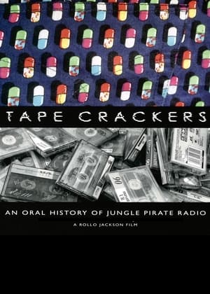 Pirate Radio (2009) Dual Audio | Dubbed Hindi Movie BluRay 400MB