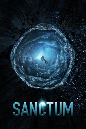 Sanctum (2011) Dual Audio | Dubbed Hindi Movie BluRay 400MB