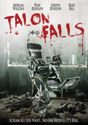 Talon Falls (2017) Dual Audio | Dubbed Hindi Movie BluRay [1GB]