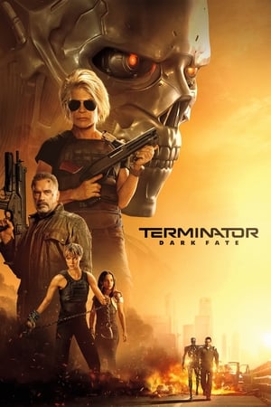 Terminator: Dark Fate (2019) (Org) Dual Audio | Dubbed Hindi Movie BluRay 400MB