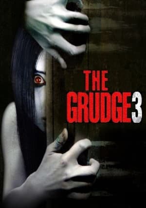 The Grudge 3 2009 Dual Audio | Dubbed Hindi Movie Web-DL 300MB