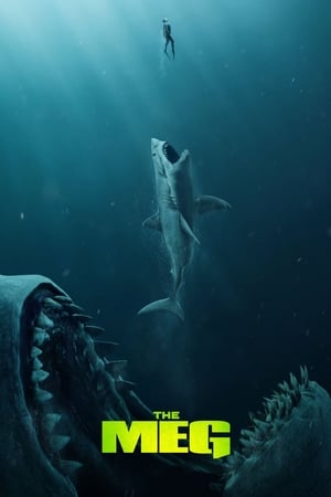 The Meg (2018) (Org) Dual Audio | Dubbed Hindi Movie BluRay 350MB