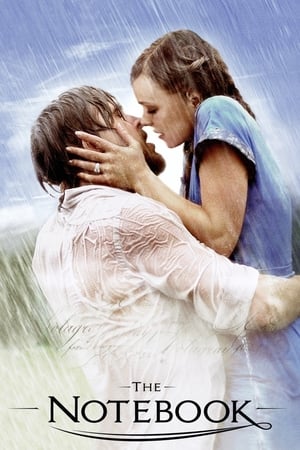 The Notebook 2004 Dual Audio Full Movie | Dubbed Hindi Movie BRRip - 1GB
