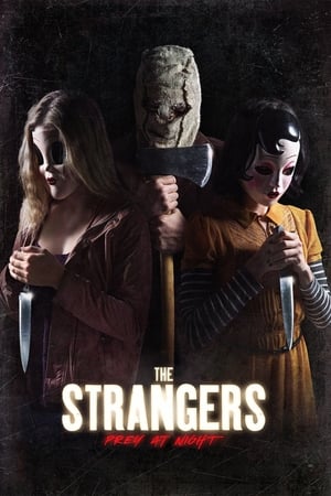The Strangers: Prey at Night (2018) Dual Audio | Dubbed Hindi Movie BluRay 300MB