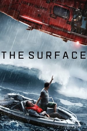 The Surface (2014) Dual Audio | Dubbed Hindi Movie Web-DL 300MB