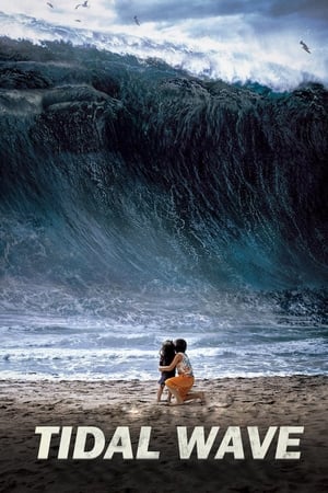 Tidal Wave (2009) Dual Audio | Dubbed Hindi Movie BluRay 350MB ESubs