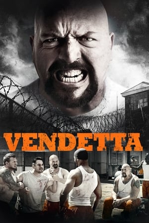 Vendetta 2015 Dual Audio | Dubbed Hindi Movie BluRay 300MB
