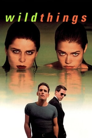 Wild Things (1998) 100mb Dual Audio Hevc BRRip Download
