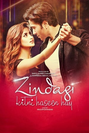 Zindagi Kitni Haseen Hay (2016) Pakistani Movie | Dubbed Hindi Movie HDRip x264 [980MB]